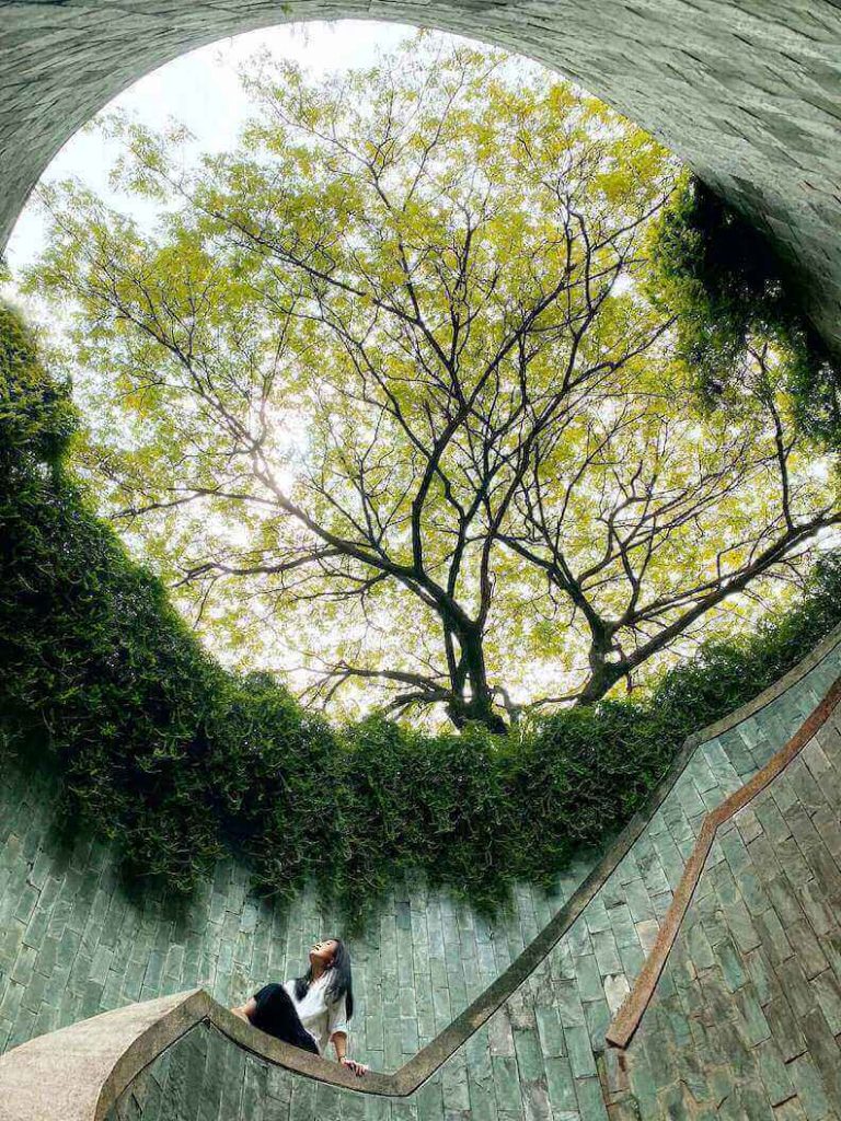 Woman surrounded by nature sitting outside looking up at trees.